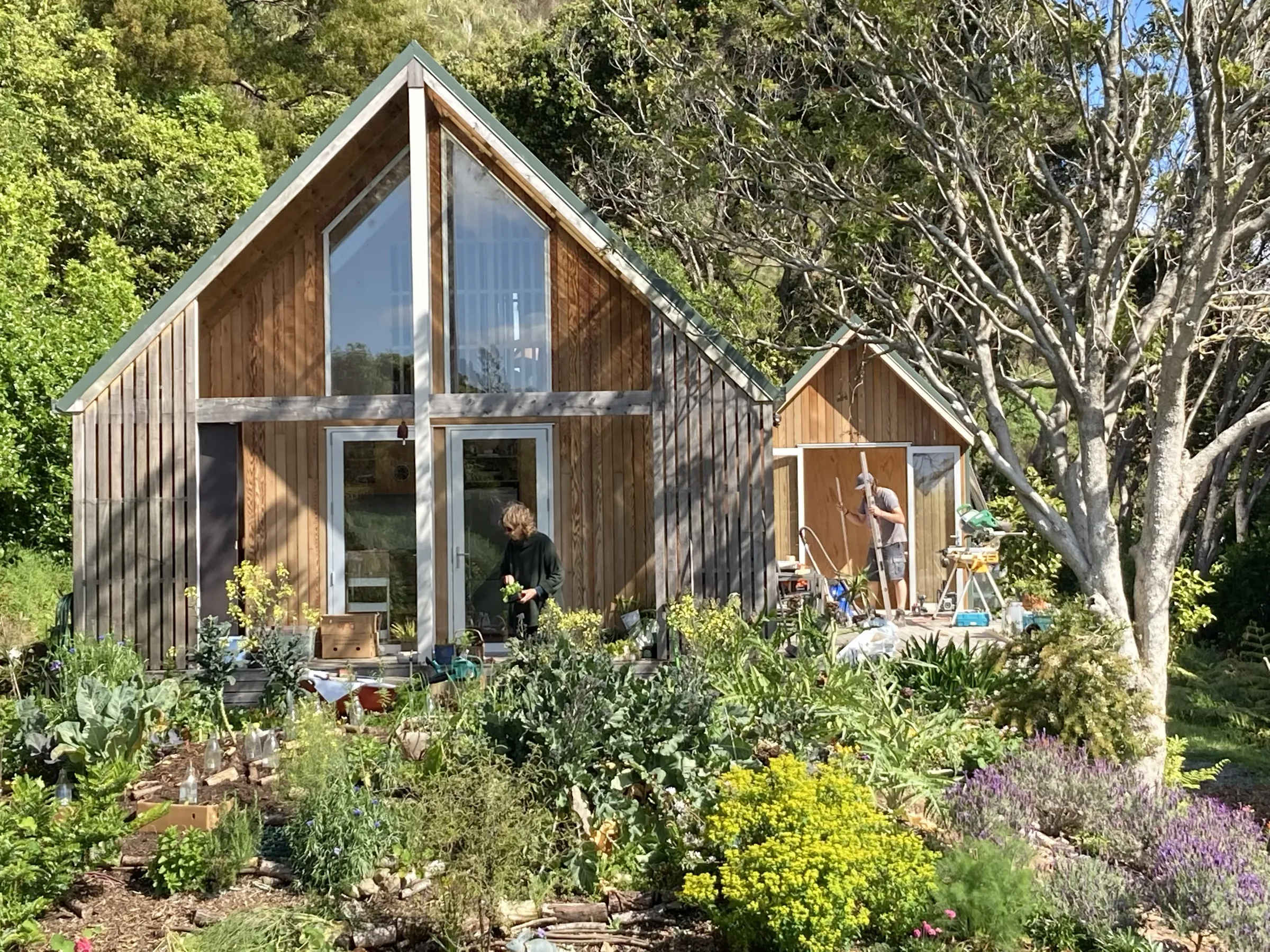 A timber home surrounded by a flourishing garden